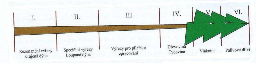 dříví nízká disponibilní tažná síla. Vytěžené dříví bylo proto nutné rozdělit řezem na kratší fyzicky zvládnutelné výřezy (Neruda a kol., 2013 b).