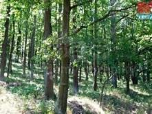 17 C) lesní pozemky Moravské Bránice, okres Brno-venkov Prodej lesa 5 082 m² Celková cena:150 000 Kč za nemovitost, Cena za m²:30 Kč ID zakázky:591519 Aktualizace:14.07.
