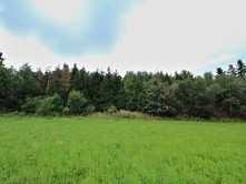 Sejřek, okres Žďár nad Sázavou Prodej lesa 2 406 m² Celková cena:40 000 Kč za nemovitost