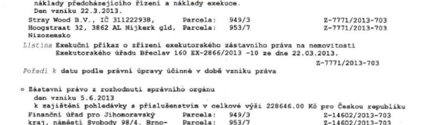 Příloha č.