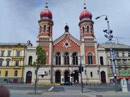 2017 (středa) máme sraz v 10 hodin a jdeme přes les do Chudeřic, Káranic a Obědovic, kde bude u rybníka v