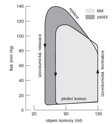 Tlakově objemová srdeční křivka/závislost Ao uzávěr Ao
