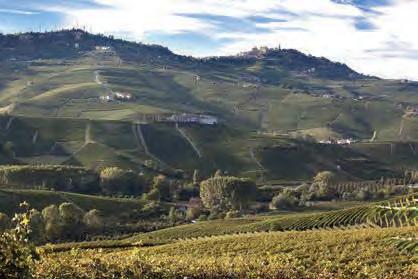 Chiara Boschis PIEMONTE Langhe Butikové vinařství s celkovou produkcí 12 tisíc lahví, které vede jedna z největších žen vinařek z Piemonte Chiara Boschis.