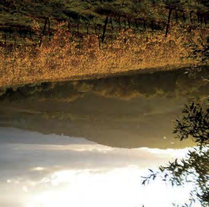 TOSKÁNSKO San Gimignano Vernaccia di San Gimignano, víno s tradicí pěstování více než tisíc let, bylo považováno za skvost, jež nesměl chybět při královských hostinách a na papežském stole.