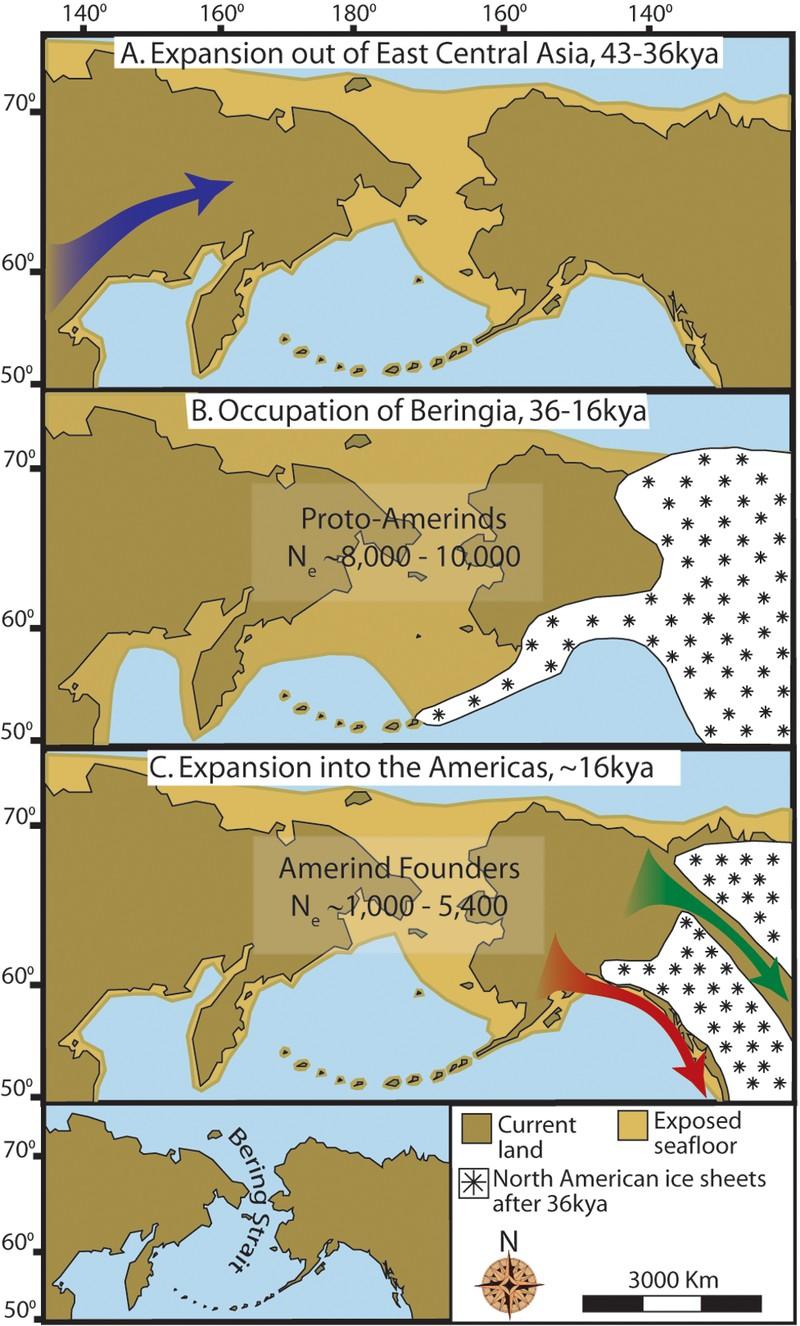 Teorie o osídlení Ameriky Pevninskou cestou Beringie -