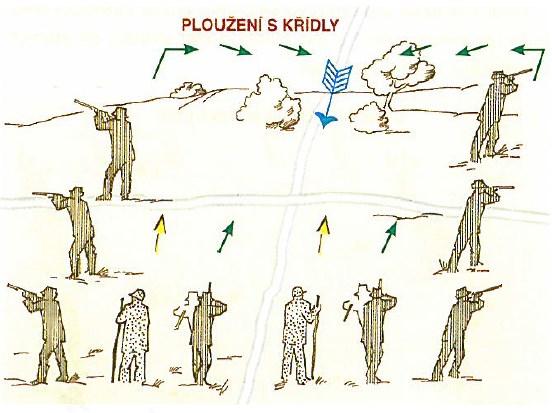 křídla. Střelci postupující v hlavní řadě střílejí dopředu i dozadu pod úhlem 90. Střelci na křídlech střílejí jen na zvěř vybíhající nebo vytahující z leče ven.