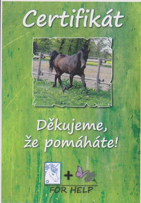Přílohy Autisté jsou lidé, kteří mají jiné vnímání okolí, ale žijí s námi a v naší společnosti.
