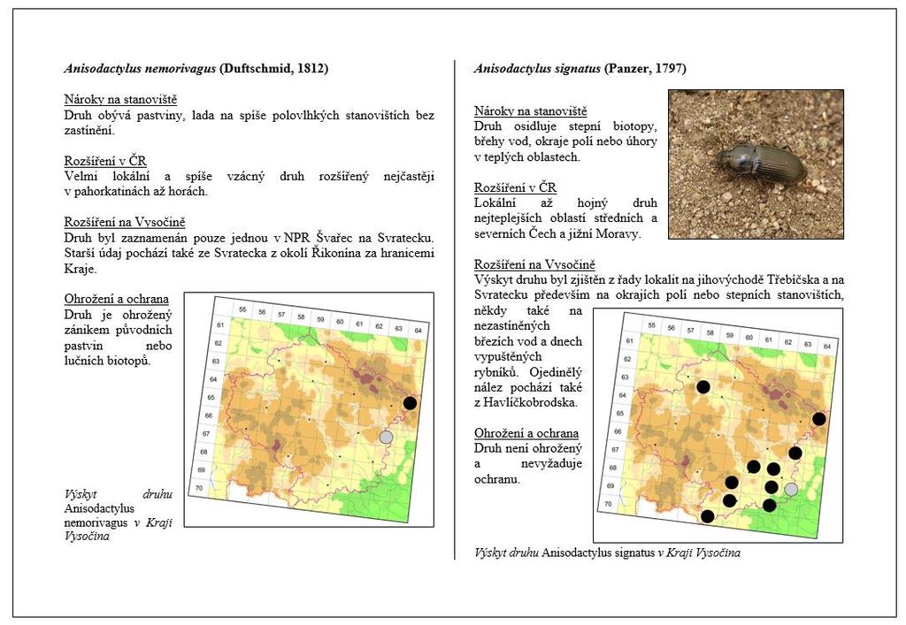 VÝZKUMNÁ A ODBORNÁ ČINNOST ZO ČSOP Kněžice provádí odbornou a praktickou ochranu přírody. Zabýváme se především výzkumem a ochranou biodiverzity a krajiny.