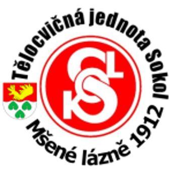 Vzpomeňme na hrdiny z našeho okolí. Na obecním úřadu obce Mšené-lázně mají pamětní desku manželé Andersovi. Sokolové obce Mšené-lázně tuto plaketu po 2.