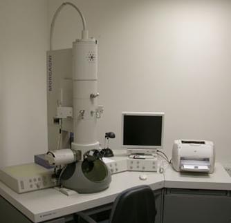1 Elektronový mikroskop Součástí každého elektronového mikroskopu je elektronová tryska emitující svazek elektronů, který je pomocí optické soustavy soustředěn na malou plošku na preparátu.