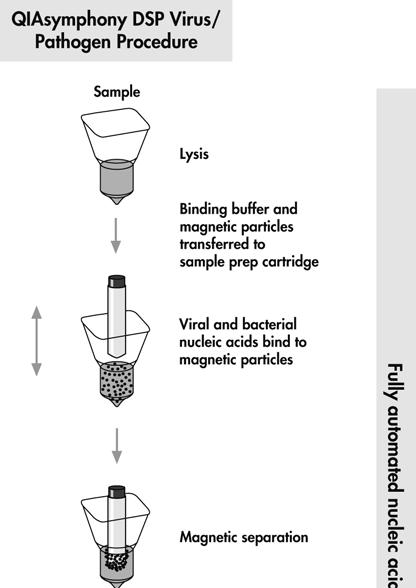 Vzorek Lýza Vázací pufr a magnetické částice jsou přeneseny do testovací kazety Virové a bakteriální nukleové kyseliny se naváží na magnetické částice