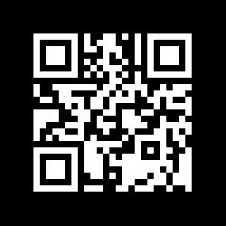 DYNTEC www.