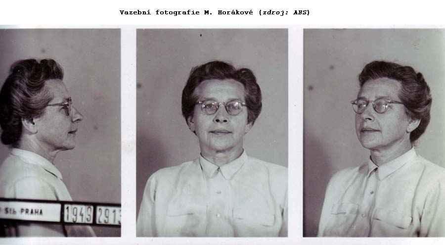 http://www.ustrcr.cz/data/images/projekty/dokumentacni/horakova02.