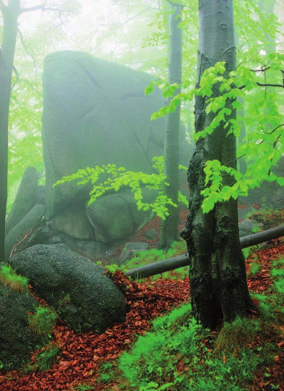 muž může turistický region plně převzít některé aktivity spojené s propagací Jizerských hor. V rámci projektu vznikl jednotný grafický manuál, nová podoba webových stránek www.jizerky.