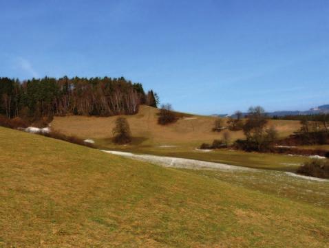 Jedna náhradní zastávka bude přesunuta do blízkosti křižovatky sil. č.