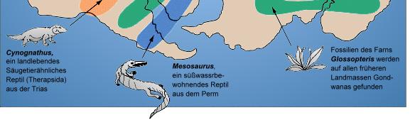 TomCatX, CC0 https://upload.wikimedia.