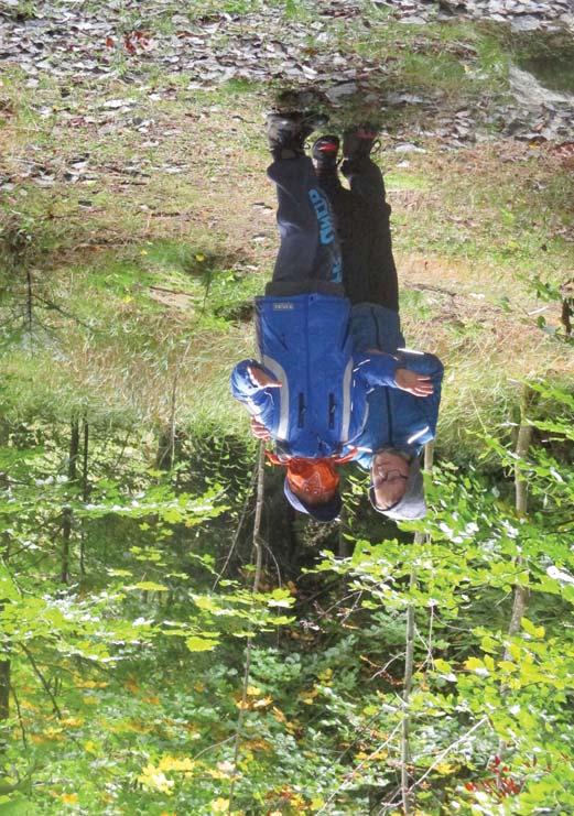 Národní park Šumava je tou nejlepší učebnou pod širým nebem www.npsumava.cz VÝUKOVÉ PROGRAMY URČENÉ PRO II. stupeň ZŠ a SŠ Tyto programy jsou pro svou náročnost určené pro II.