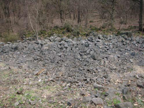 42 Acta Mus. Richnov., Sect. natur. 19 (3-4): 41-48, (2012) Obr č. 1: Pohled na plochu č. 1. Na obrázku je zachycena většina plochy, kde byly umístěny zemní pasti. (Foto M.