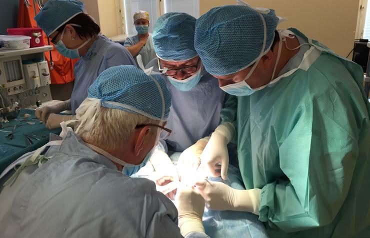 medicína, věda a výzkum Zavedli jsme aktivní středoušní implantát.