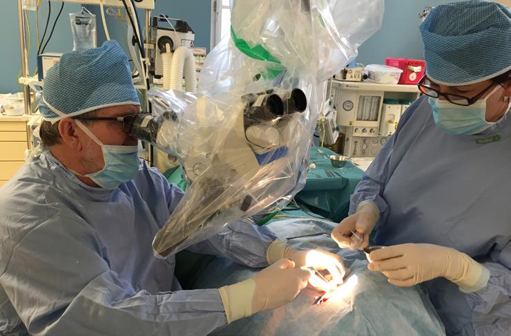 října 2015 lékaři Kliniky otorinolaryngologie a chirurgie hlavy a krku Fakultní nemocnice u sv. Anny v Brně.