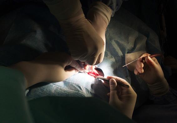 Komplexní implantační centrum v Brně: první kochleární implantace 2012 dosud provedeno 49 kochleárních implantací (z toho 12 dětí) (pv) Zahájen kontakt FNUSA-ICRC se Singapurem Zástupci Singapore