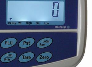 Připojení váhy do elektrické sítě je indikováno kontrolkou na displejovém panelu váhy u nápisu Recharge, a to bez ohledu na to, zda je vypínač zapnutý nebo vypnutý.