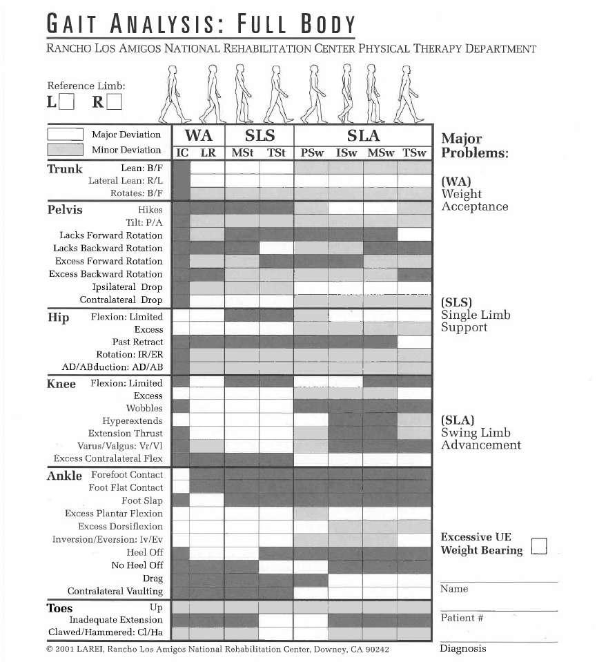 Příloha č. 1 a) RANCHO LOS AMIGOS GAIT ANALYSIS FORM Zdroj: THE PATHOKINESIOLOGY SERVICE AND THE PHYSICAL THERAPY DEPARTMENT, Rancho Los Amigos National Rehabilitation Center.