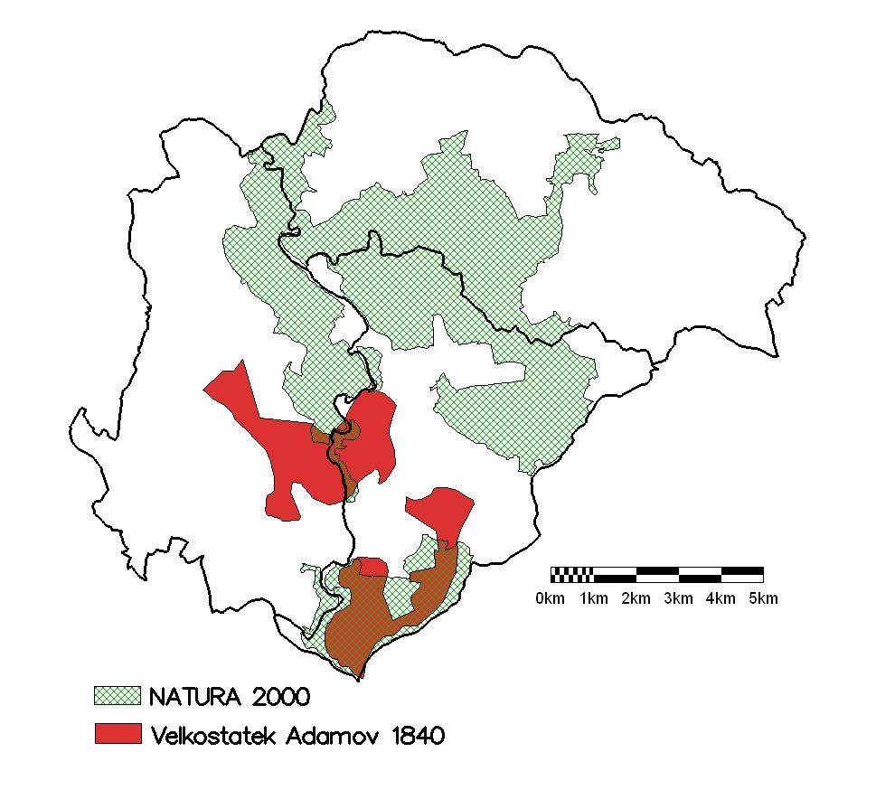 rozloze analyzovaného majetku viz. tabulka č.1. Tab. 1: Historický výskyt nízkých a středních lesů na území ŠLP ML Křtiny Ukazatel jedn. Velkostatek drobné Adamov Křtiny Rájec n.