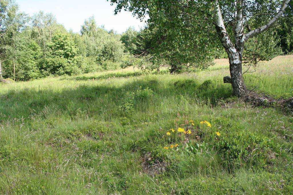 Obr. 3: Vřesoviště a krátkostébelné podhorské smilkové