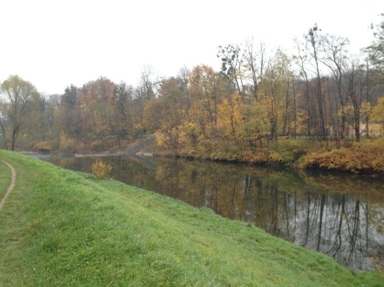 Fotografie 22 Olše nad spádovým