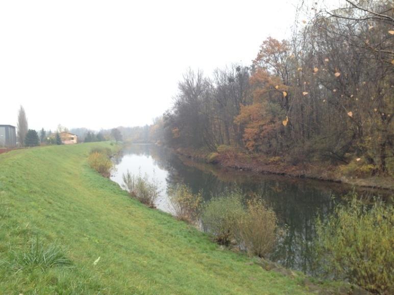 Ropičanky, km 39,5, levobřežní hráz