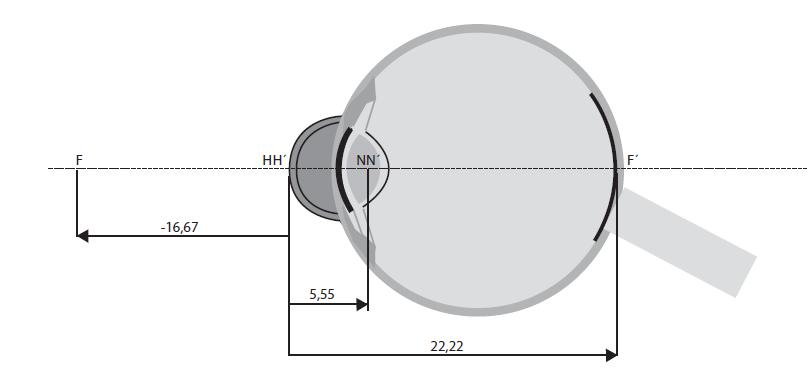 ,90 - - 2.2.3 Redukované oko Obrázek 2: Emsleyova-Graffova modifikace Gullstrandova oka [6] Nejjednodušší a zároveň méně přesným modelem je tzv. Redukované oko. Je to systém s jediným lámavým povrchem o poloměru zakřivení r = +5,55 mm, s indexem lomu n = 4/3 a o axiální délce a R = +22,22 mm.