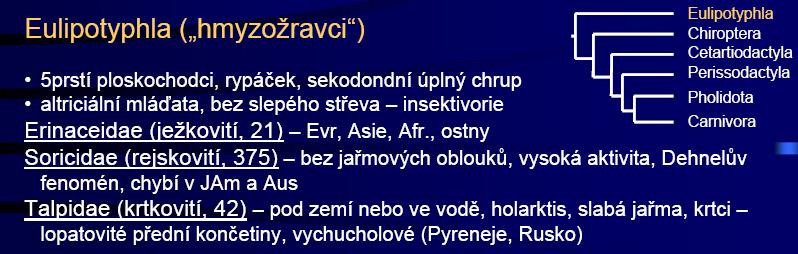 Pholidota (luskouni) (7) - Afr, Asie, na hřbetě rohovité šupiny, malá hlava,
