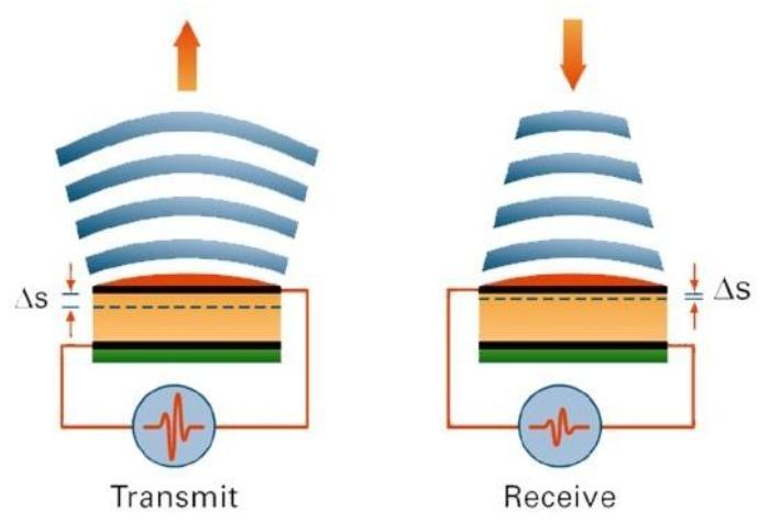 2 TEORETICKÁ ČÁST 2.1 Ultrasonografie 2.1.1 Historie Ultrasonografie je v dnešní době nejrozšířenější a nejsnáze dostupná moderní diagnostická zobrazovací technika.