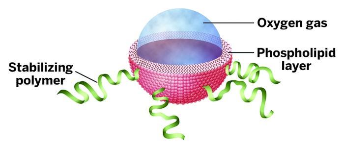 Obr. 6: Struktura mikrobubliny, kde je ke stabilizaci použit polymer [24] Menších rozměrů mikrobublin je tedy především docíleno změnou chemického složení pouzdra mikrobublin navázáním vhodného