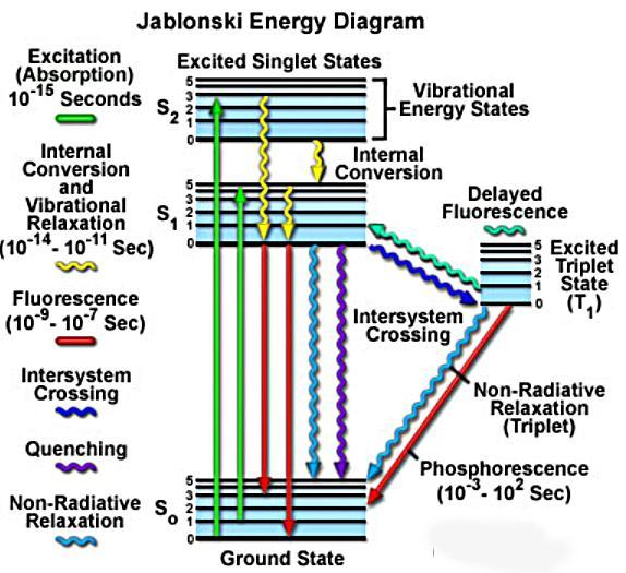 Obr. 16: Jabłońskiho diagram k vysvětlení luminiscence Pro fluorescenční zobrazení je potřeba fluorescenční barvivo (fluorofor, fluorochrom), což je látka schopná po ozáření světlem určité vlnové