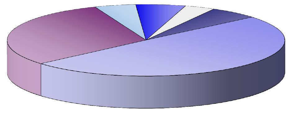 ostatní other 0,1% Struktura pracovníků ve zdravotnictví podle kategorií Structure of health personnel by categories lékaři physicians 15,7% zubní lékaři dentists 2,8% farmaceuti pharmacists 2,4%