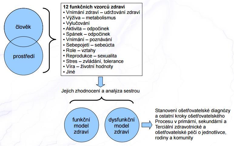 Tento model se z hlediska holistické filozofie zaměřuje na pacienta nejkomplexněji.