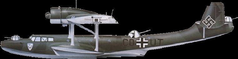 Letouny byly dodávány (s označením Do 24K-I), i pro Německo. Dornier Do 24 byl jako jeden z mála létajících člunů ve své vybaven zatahovacím podvozkem. Byly využívány za 2.
