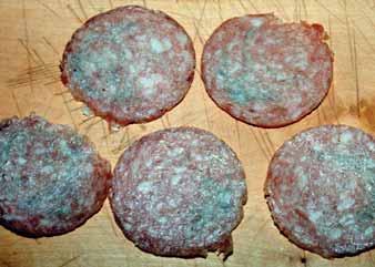 Tuto schopnost mají některé mléčné bakterie (laktobacily), enterokoky (E. faecalis, E. gallinarium aj.) a Pseudomonas fragi. Obr.