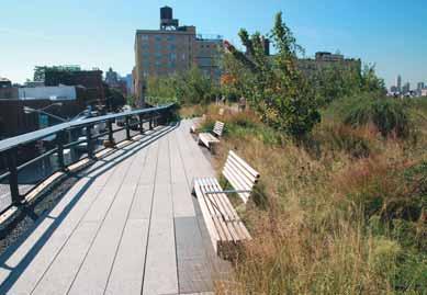 The High Line v New Yorku zelená linka městem Současná města u nás i v okolním světě procházejí v posledních desetiletích velkými proměnami. Tolik rozvinutý průmysl, který od 19.