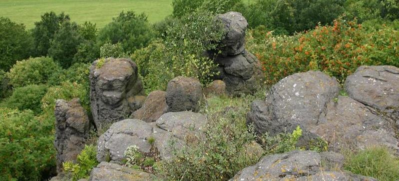 HOLÝ VRCH U HLINNÉ Obrázek 8-5 Výchozy čedičového lávového proudu ve vrcholových partiích Holého vrchu. (foto: V. Rapprich, http://fotoarchiv.geology.