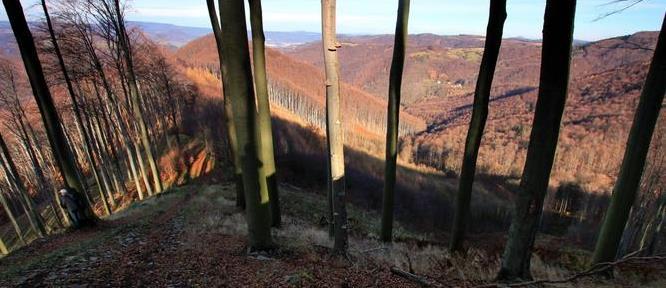 STŘÍBRNÝ ROH Obrázek 8-14 Stříbrný roh (Foto: M. Panenka, mapy.cz) Hřeben vybíhající z masivu Bukové hory ssz.