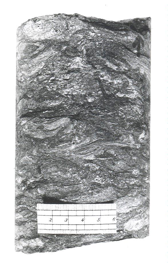 BĚLOHORSKÉ SOUVRSTVÍ (SPODNÍ-střední TURON) Bělohorské souvrství se vyznačuje v téměř celém rajonu stabilním litologickým charakterem, který je typický pro ssz. část lužického litofaciálního vývoje.