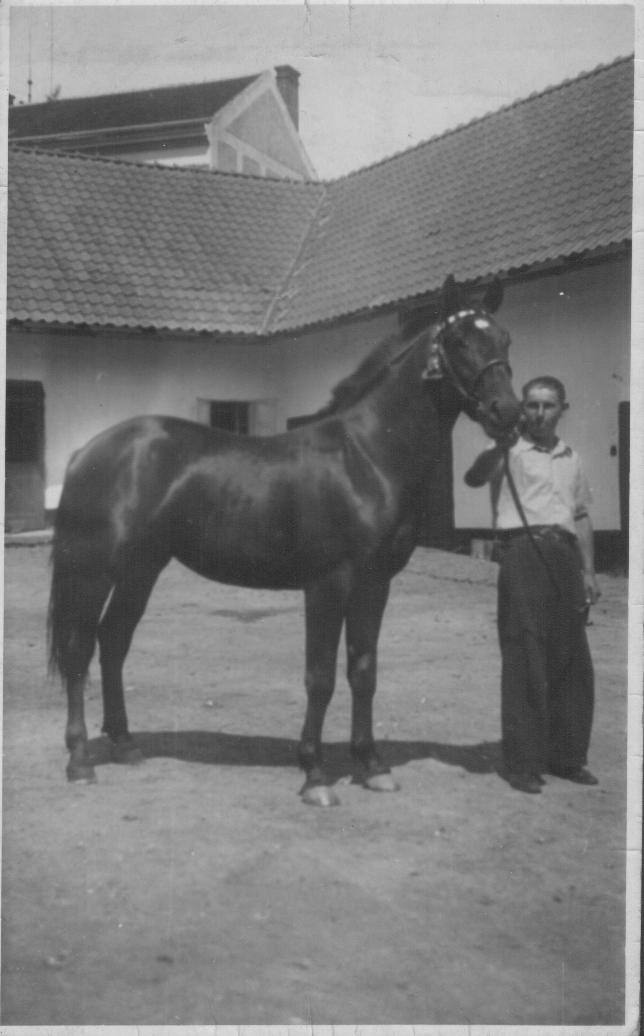 Rumlů