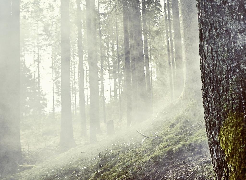 TRAIL pánské triko 1390 Kč 51