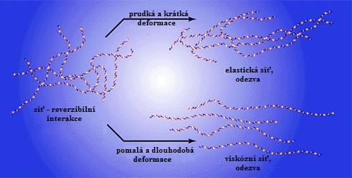 Obrázek č. 3: Schéma odezvy síťovaných agregátů hyaluronanu na mechanickou námahu [8]. 2.1.2 Výskyt, význam v organismu Hyaluronan je látka tělu vlastní.