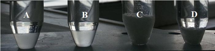 4. VÝSLEDKY A DISKUSE 4.1 Antimikrobiální hydrogel se systémem homopolymer-tenzid. Obrázek č. 16: Fotografie kondenzovaných fází systému polymer-tenzid.