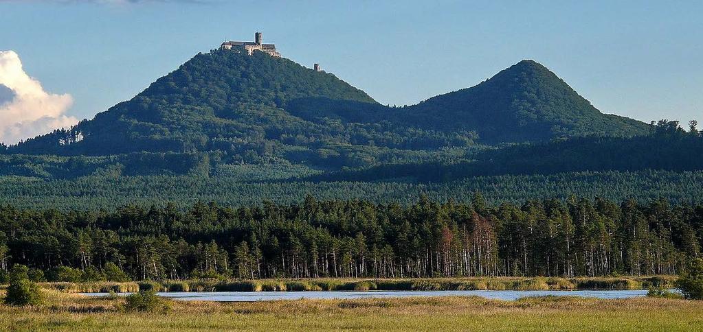 Ptačí oblast (PO) Českolipsko Dokeské pískovce a mokřady byla vyhlášena nařízením vlády č. 598/2004 Sb. ze dne 27. října r. 2004.