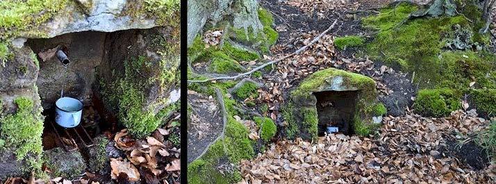 POD HVĚZDOU Přírodní památka Pod Hvězdou leží v ohybu údolí Litického potoka 1 km jižně od osady Litice a 500 m severně od osady Hvězda náležející k Obci Blíževedly. Nachází se ve výšce 314-320 m n.